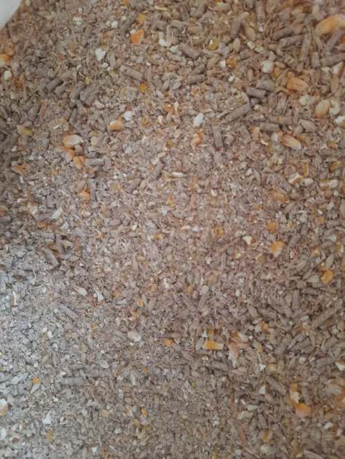Aliment de betail تغدية الأنعام و الدواجن