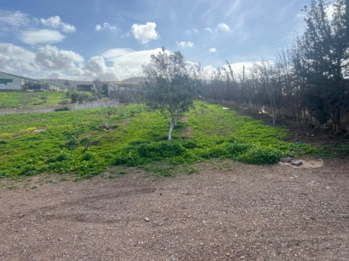 Vente Terrain Agricole Oran Boufatis