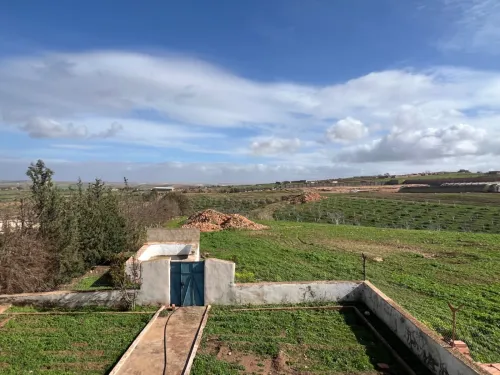 Vente Terrain Agricole Oran Boufatis