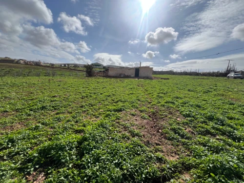 Vente Terrain Agricole Oran Boufatis