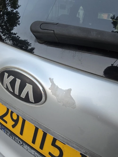 Kia Carens 2015 Carens