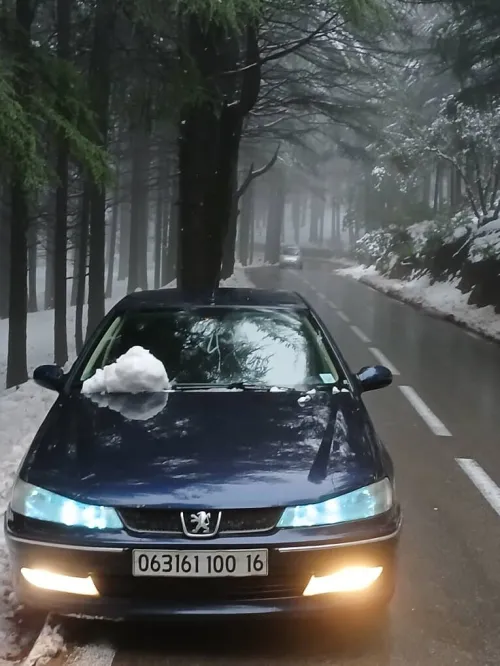 Peugeot 406 2000 406