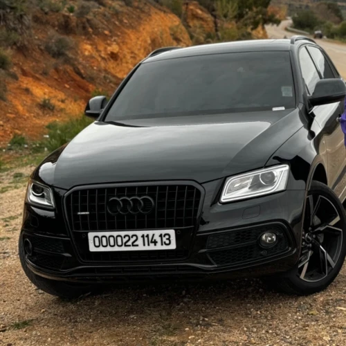 Audi Q5 2014 S Line