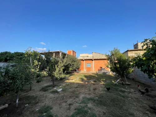 Vente Immeuble El Tarf Ain el assel