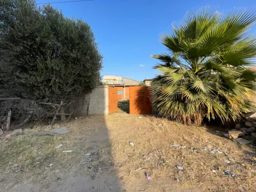 Vente Immeuble El Tarf Ain el assel