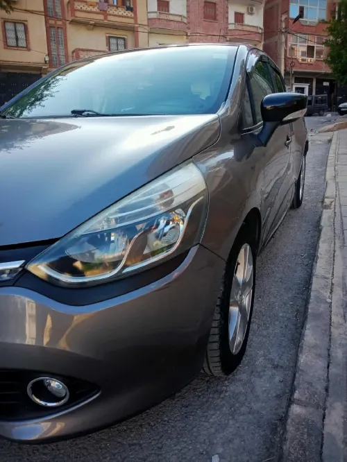 Renault Clio 4 2013 Exception