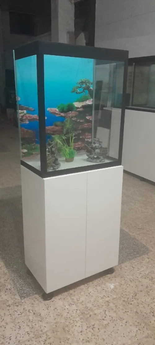 Aquarium avec meuble 50cm
