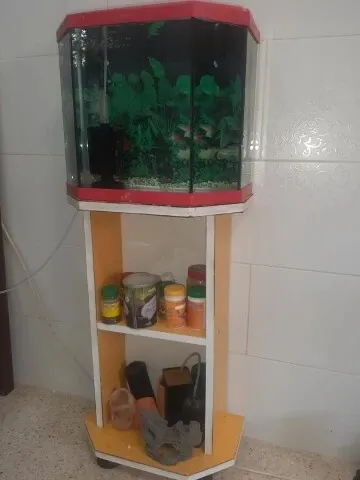 Aquarium avec meuble d'origine 40 litres