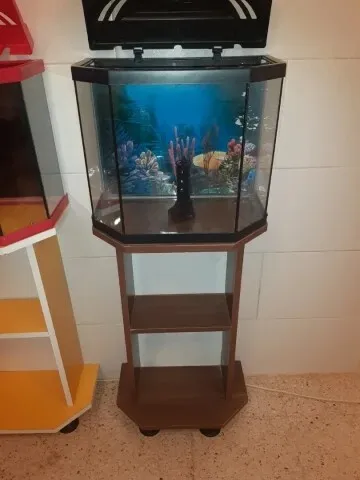 Aquarium avec meuble d'origine 40 litres