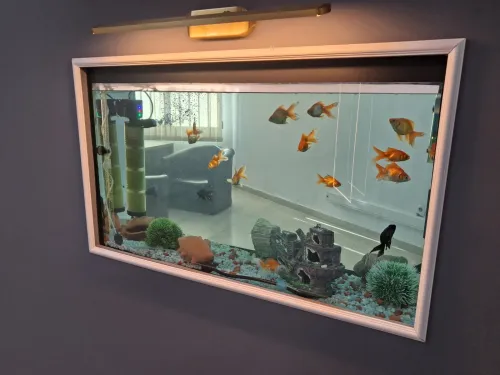 Aquarium avec meuble Haute Finition 1m