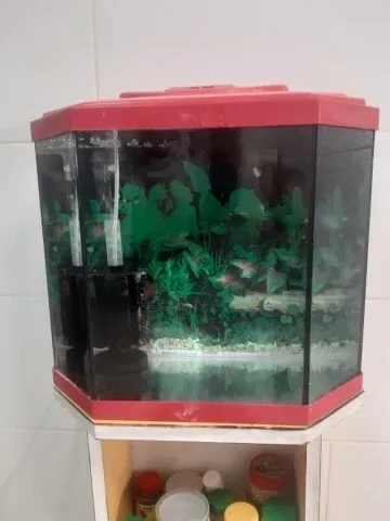 Aquarium avec meuble d'origine 40 litres