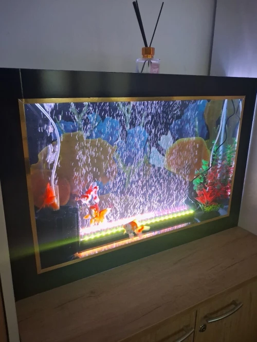 Aquarium plasma 80cm avec accessoires et 10 poissons Koi