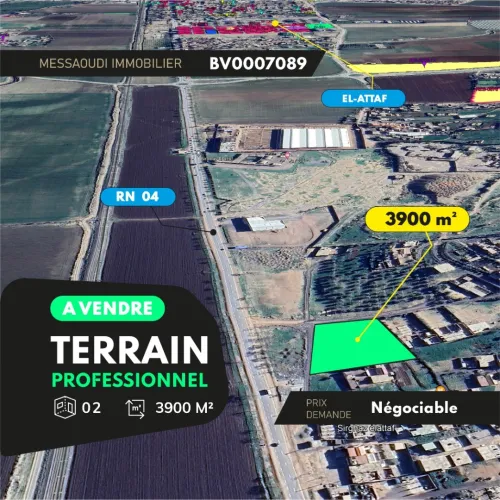 Vente Terrain Aïn Defla El attaf