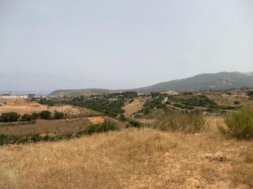 Vente Terrain Skikda Filfla