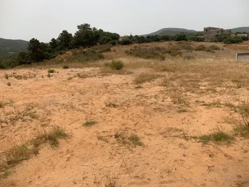 Vente Terrain Skikda Filfla