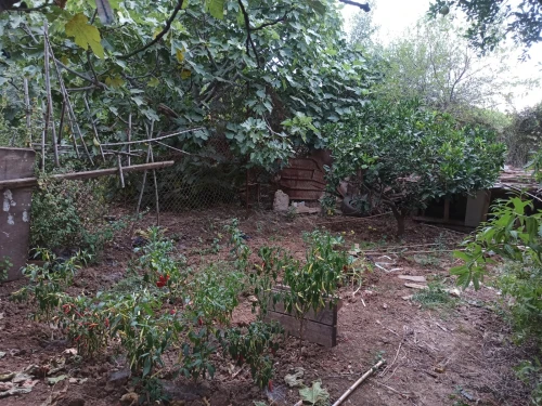 Vente Villa Blida Meftah