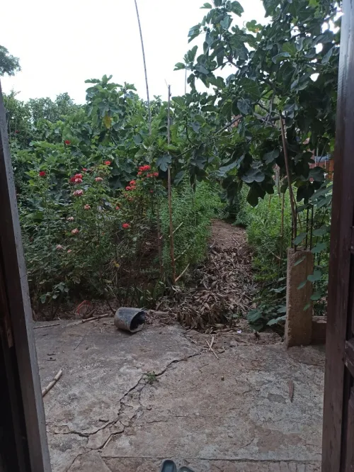 Vente Villa Blida Meftah