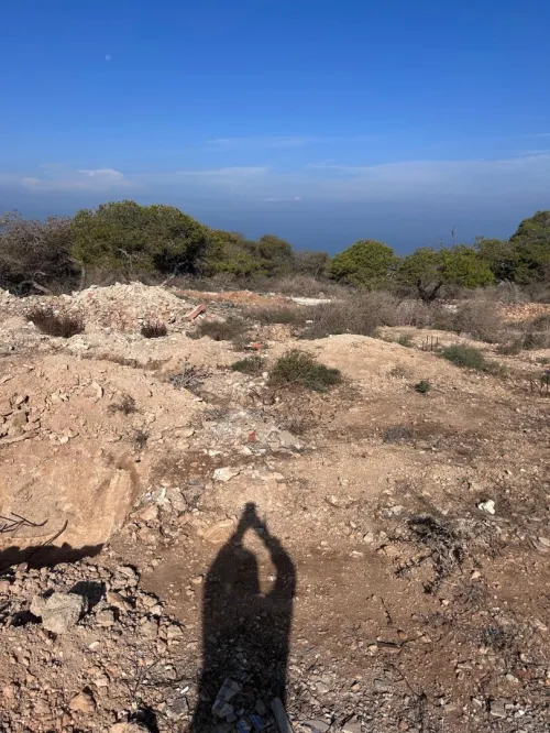 Vente Terrain Mostaganem Mezghrane