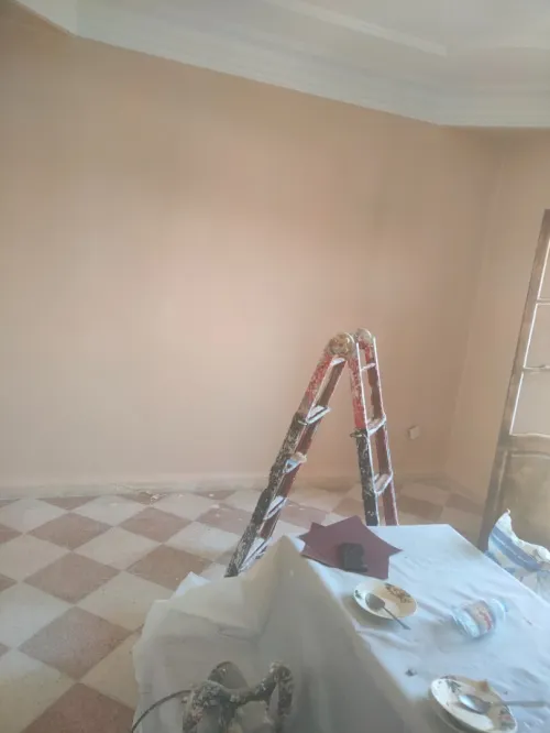 Peintre professionnel