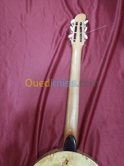 Banjo professionnel chaabi