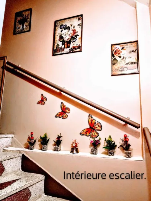 Vente Appartement F5 Aïn Témouchent Ain temouchent