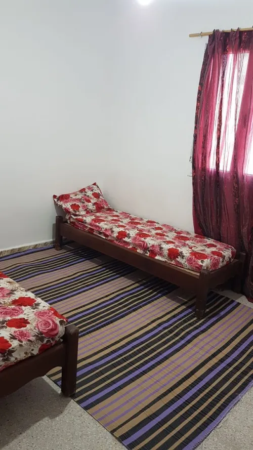 Location Appartement F2 Skikda Collo