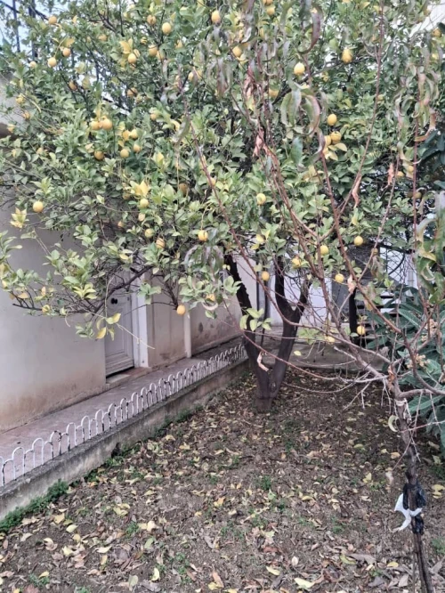 Vente Villa Tizi Ouzou Tizi ouzou