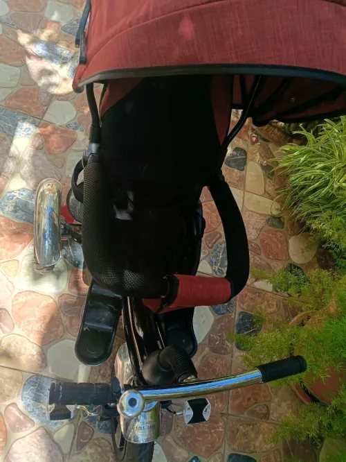 Vélo poussette