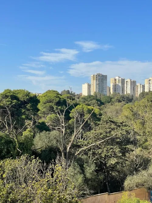 Vente Appartement F3 Alger Draria