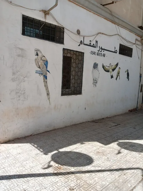 Vente Local Sidi Bel Abbès Sidi bel abbes