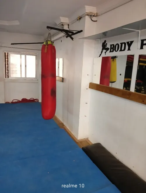 Vente Local Sidi Bel Abbès Sidi bel abbes