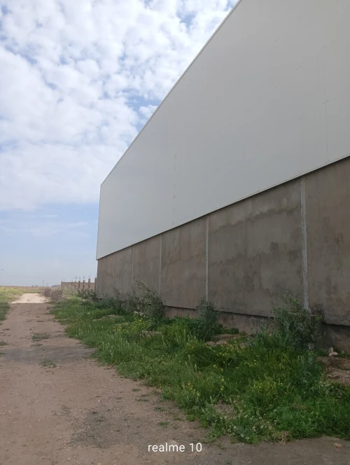Location Hangar - Usine Sidi Bel Abbès Sidi bel abbes