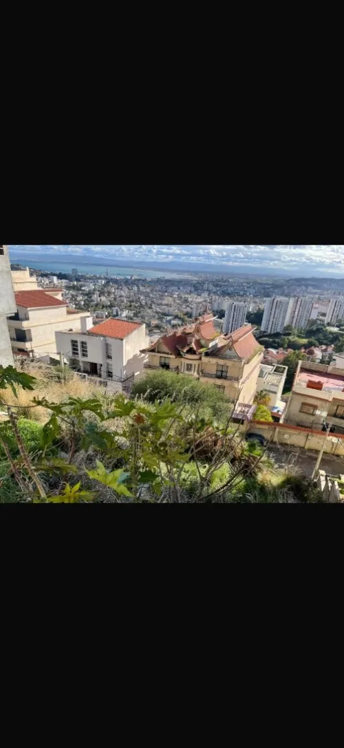 Vente Terrain Annaba Annaba