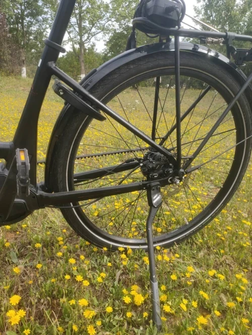 Vélos électriques Diamant à vendre