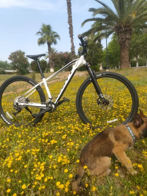 Scott Aspect 930 à vendre