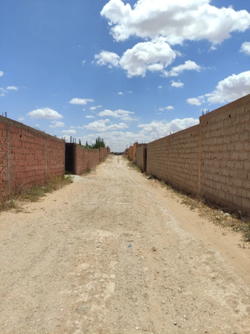 Vente Terrain Djelfa Ain maabed