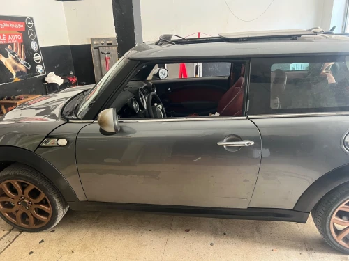 Mini Mini 2010 