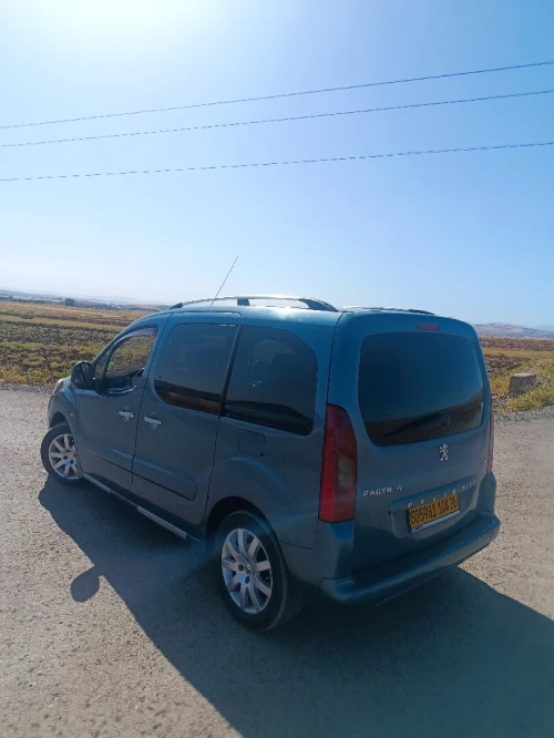 Peugeot Partner 2008 Partner