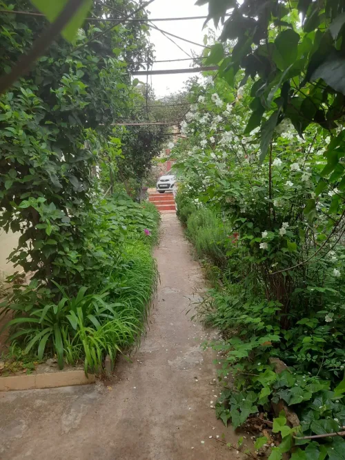 Vente Villa Aïn Defla Miliana