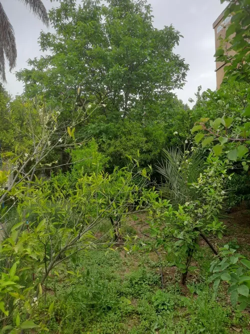 Vente Villa Aïn Defla Miliana