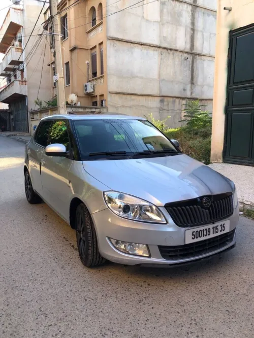 Skoda Fabia 2015 Visage