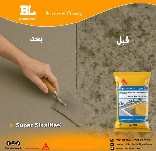 Distributeur sika algerie موزع سيكا الجزائر
