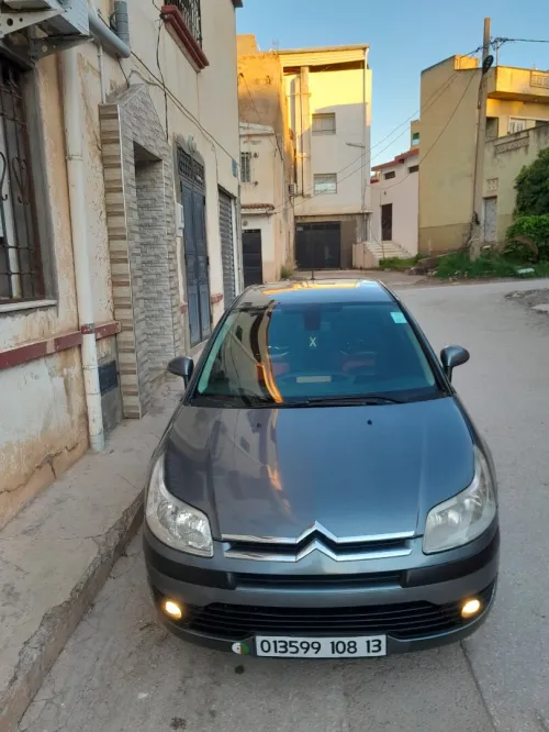 Citroen C4 2008 Vitamine