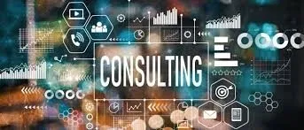 CONSULTANT