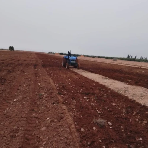Vente Terrain Agricole Tiaret Ksar chellala