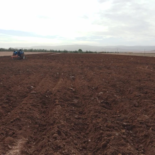 Vente Terrain Agricole Tiaret Ksar chellala