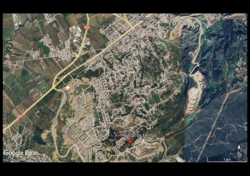 Vente Terrain Blida Meftah