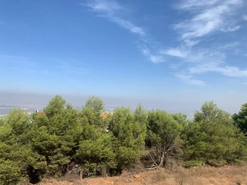 Vente Terrain Blida Meftah