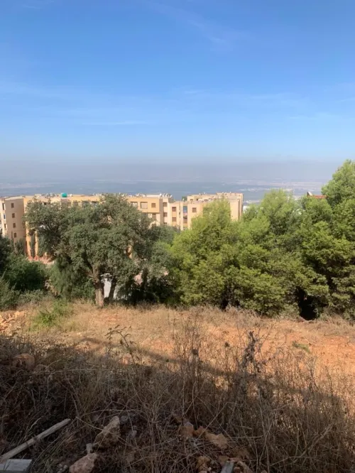 Vente Terrain Blida Meftah