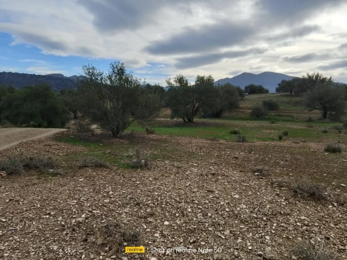 Vente Terrain Bouira Ahnif
